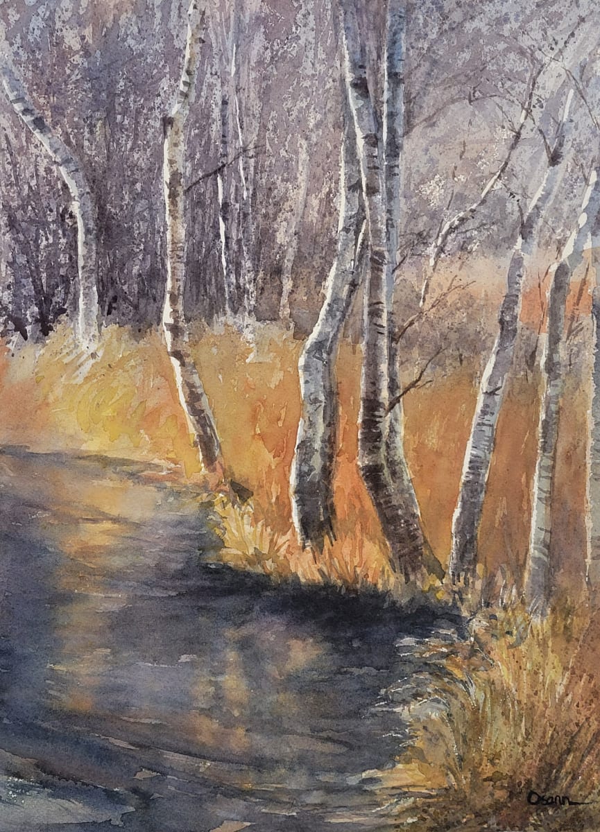 Winter Birch by Rick Osann Art  Image: The white birch sparkle in the bright winter sun along a flooded and frozen path