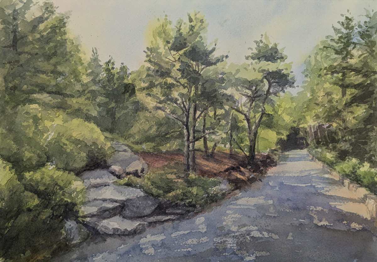 Witch Hole Sunshine by Rick Osann Art  Image: The afternoon sun casts deep shadows across the Witch Hole Carriage Road.