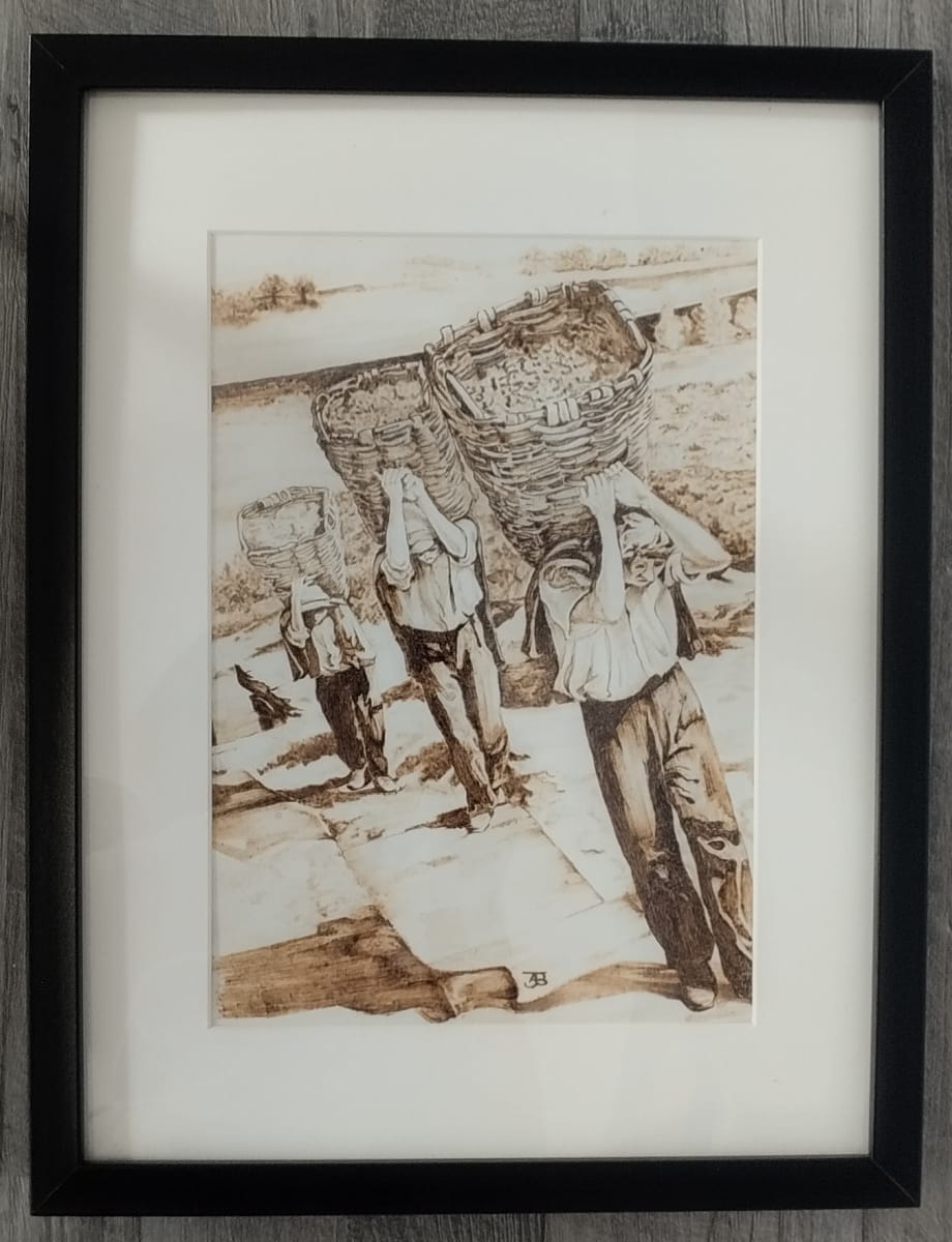 Vindimas (Grape harvest) by Andrea Barlow  Image: Grape Harvest in the Douro Valley, Portugal