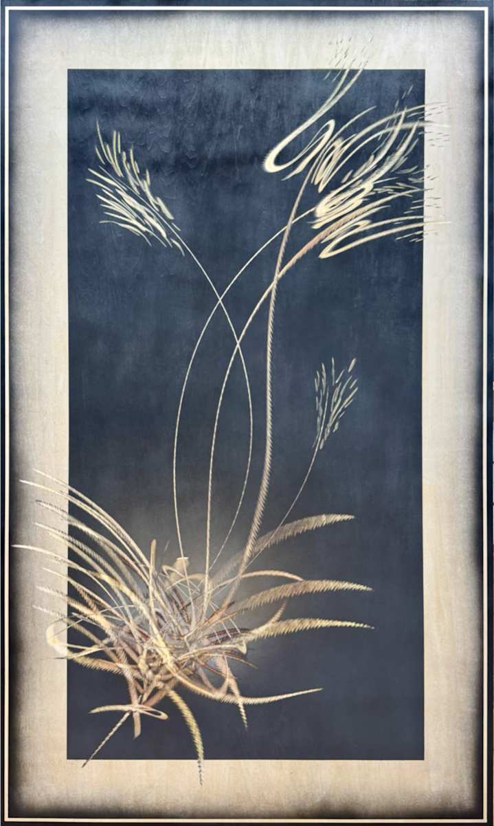 Bloom (26.3) by Cie Hoover, Image 4.