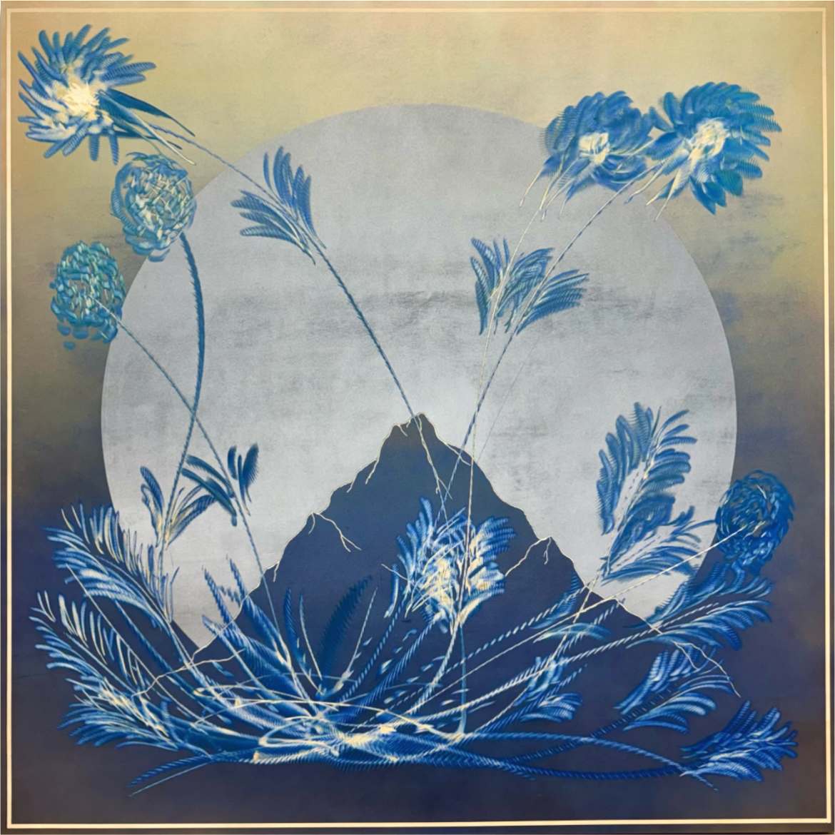 Super Bloom (26.3) by Cie Hoover, Image 2.
