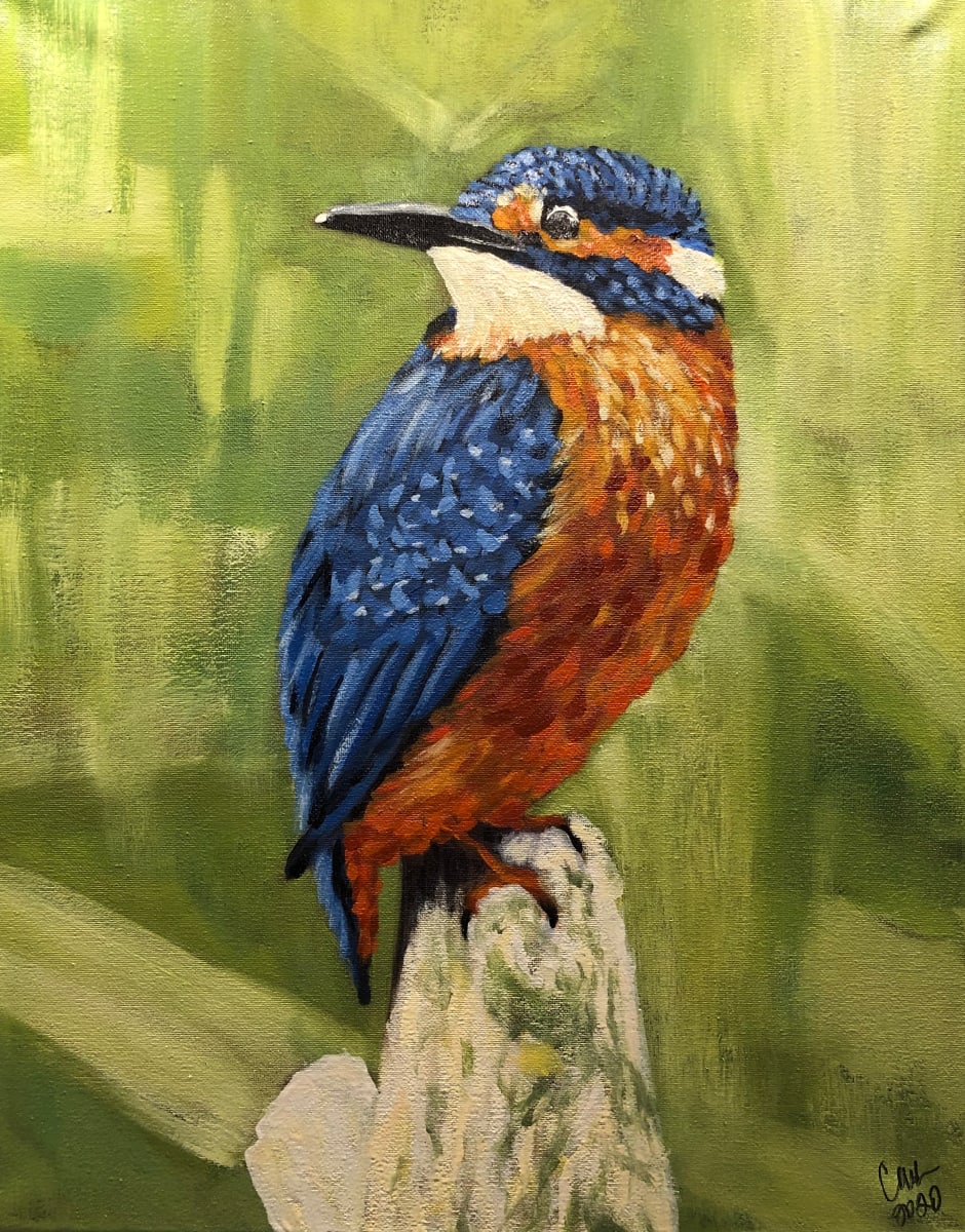 The Kingfisher by Constance Marie 