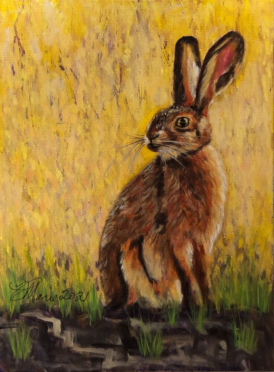 Jackrabbit by Constance Marie 