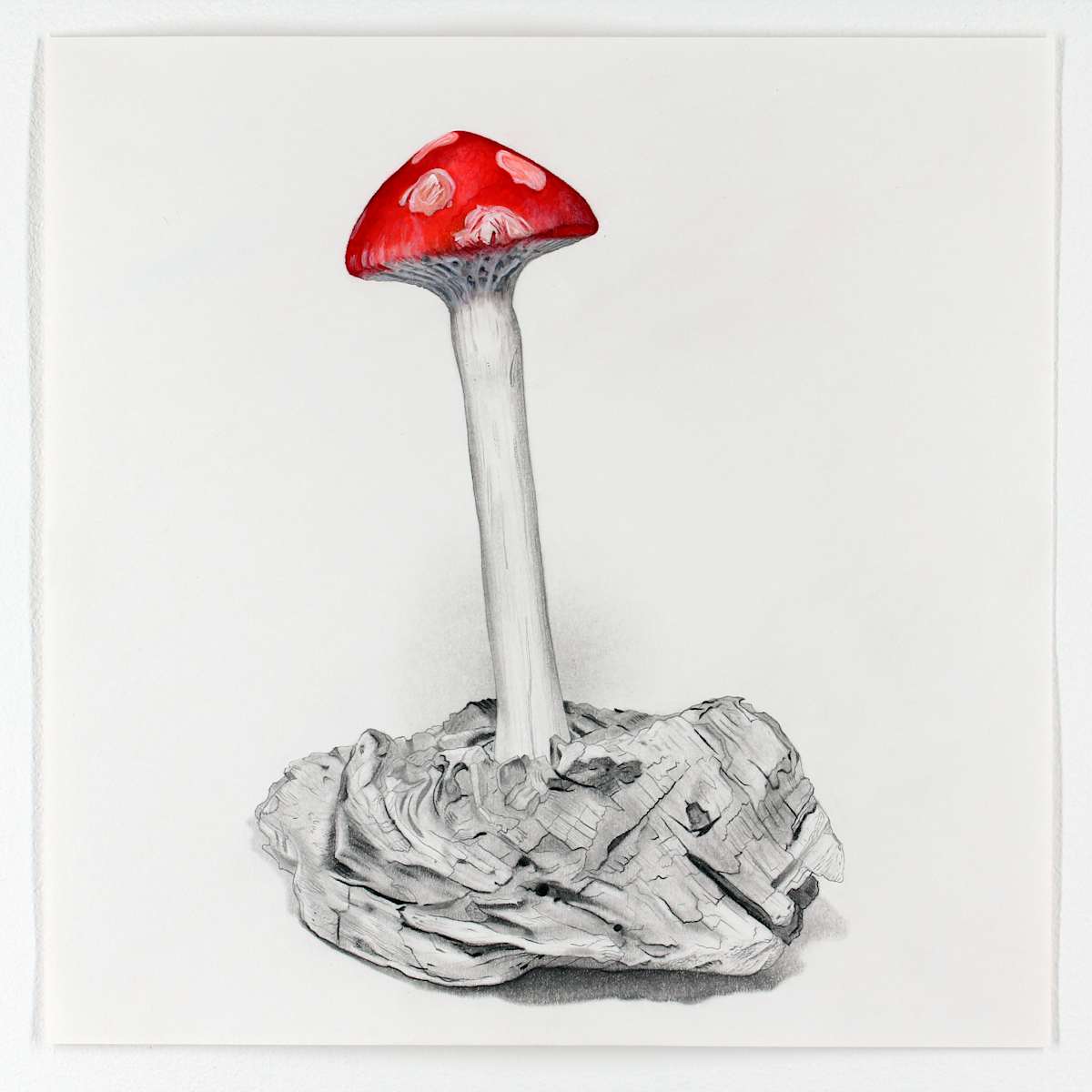 Wooden Red Mushroom: A Drawing of a Sculpture by USN Student, Liam, '25 by Melodie Provenzano, Image 1.