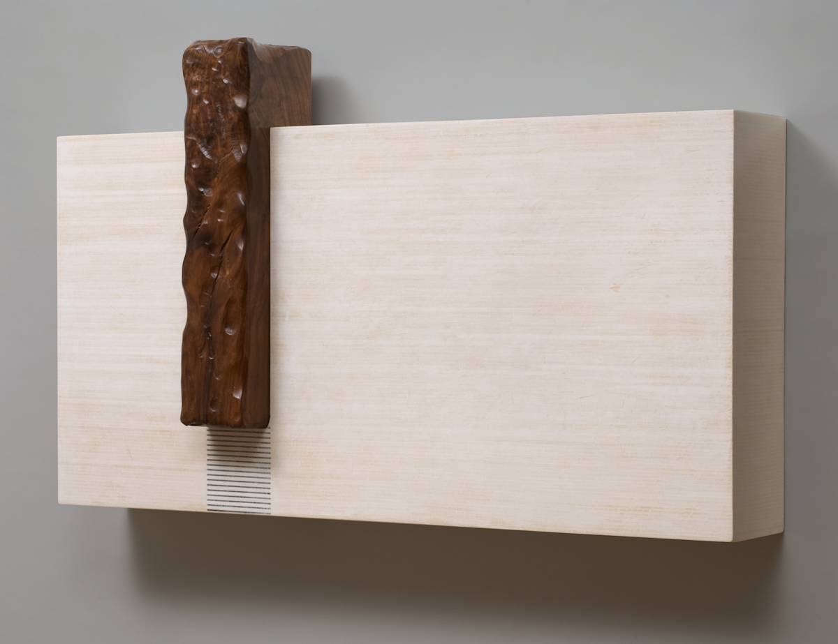 Wheatfields LXXIII (#73) by Carlo Marcucci  Image: Wheatfields LXXIII
Carlo Marcucci, 2009
Wood, stained kishimen noodles, squid ink spaghetti on wood, 18" x 36" x  8"