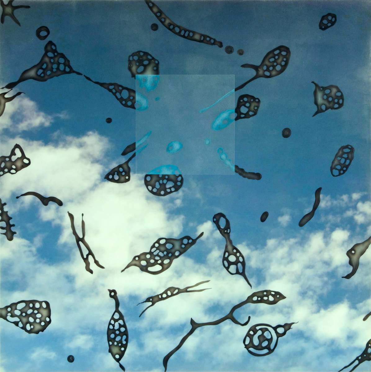 Floaters #2 by Carlo Marcucci, Image 2.