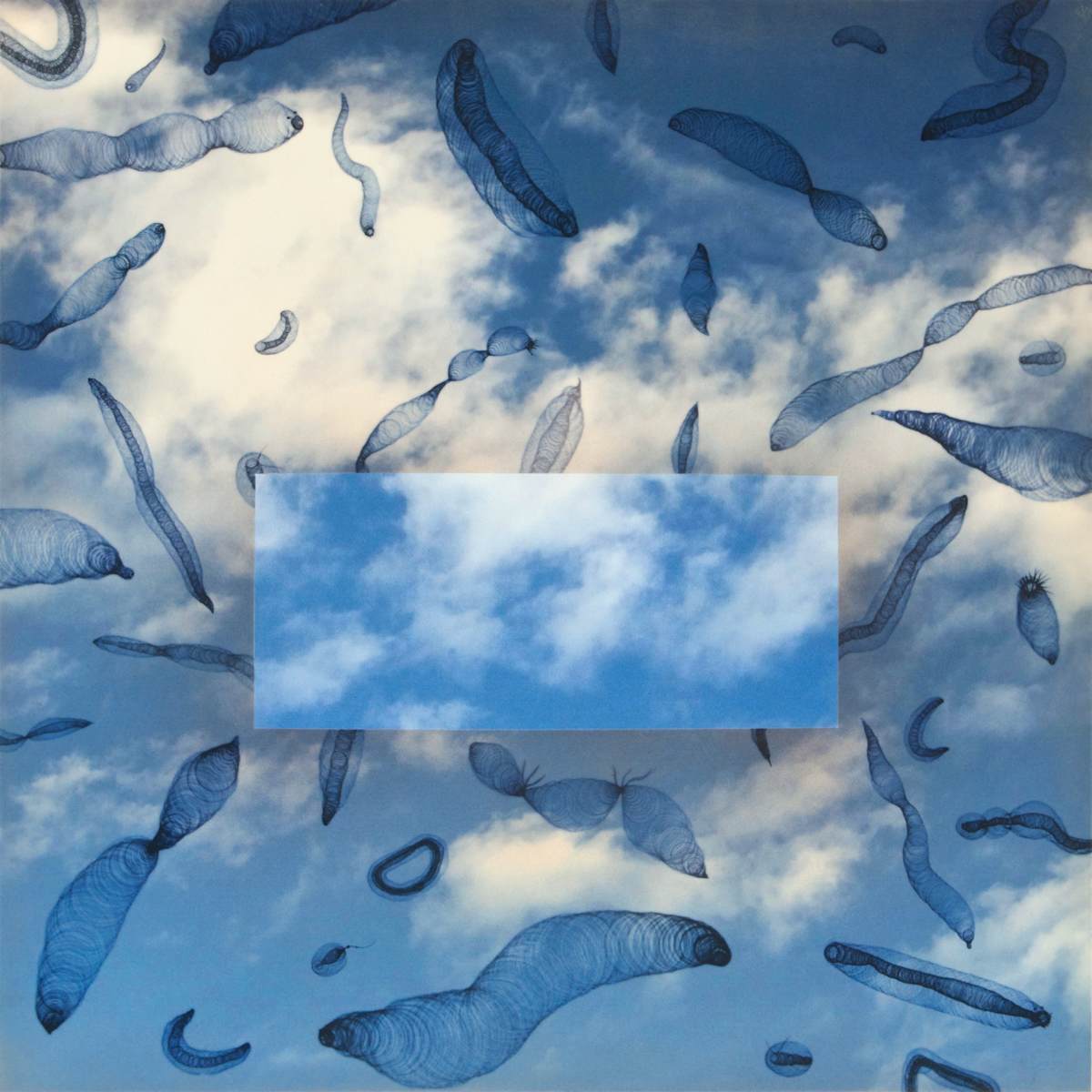 Floaters #3 by Carlo Marcucci  Image: Floaters #3