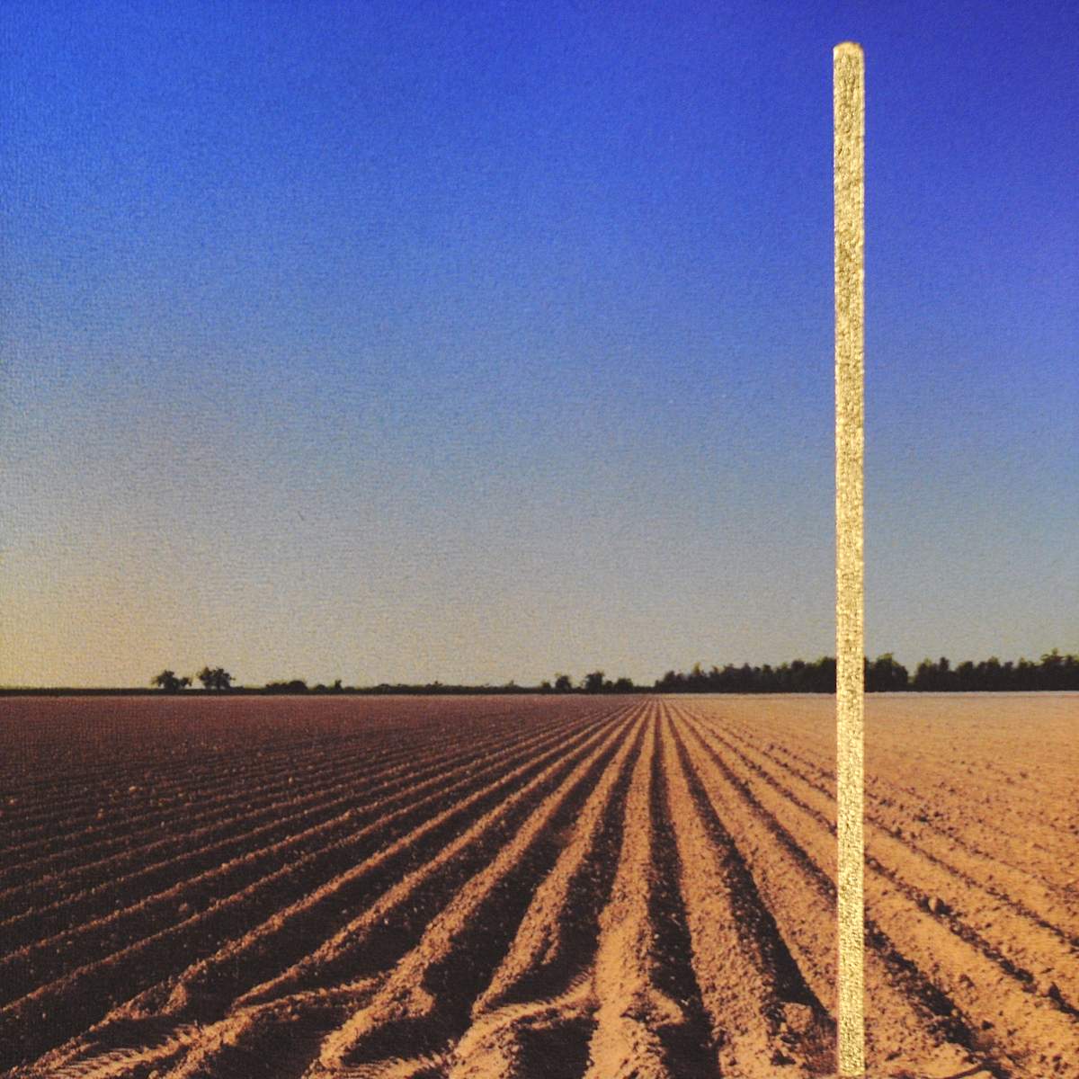 Golden State I by Carlo Marcucci, Image 2.