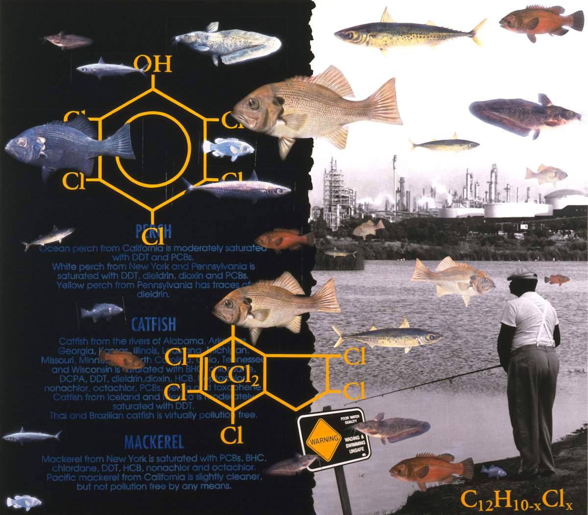 Gone Fishin' by Carlo Marcucci, Image 2.