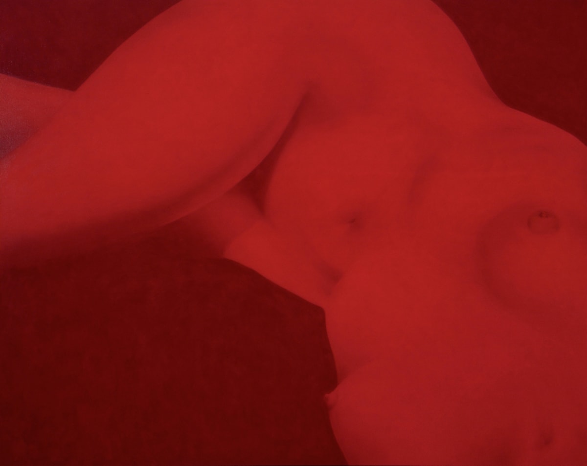 Red Venus by Carlo Marcucci  Image: Red Venus
Carlo Marcucci, 2001
Acrylic and ink on canvas, 48" x 60"