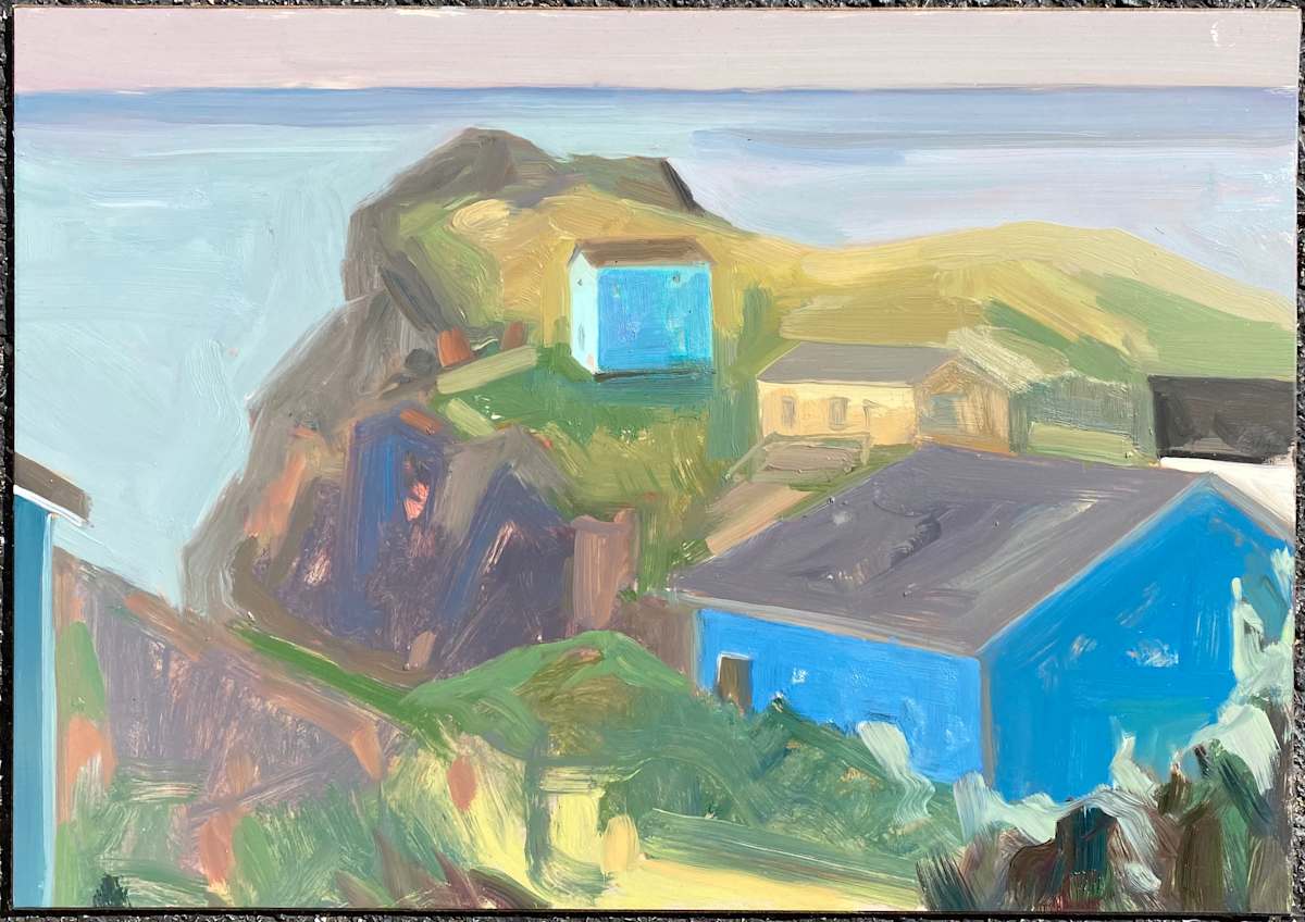 Crows Nest by Lou Schellenberg 