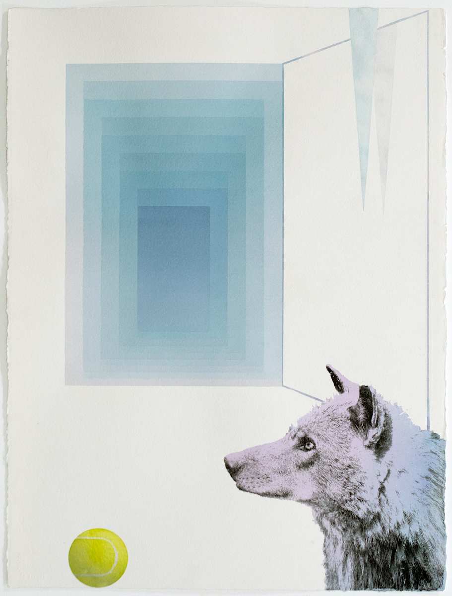 Fetch by Simon Hughes, Image 1.