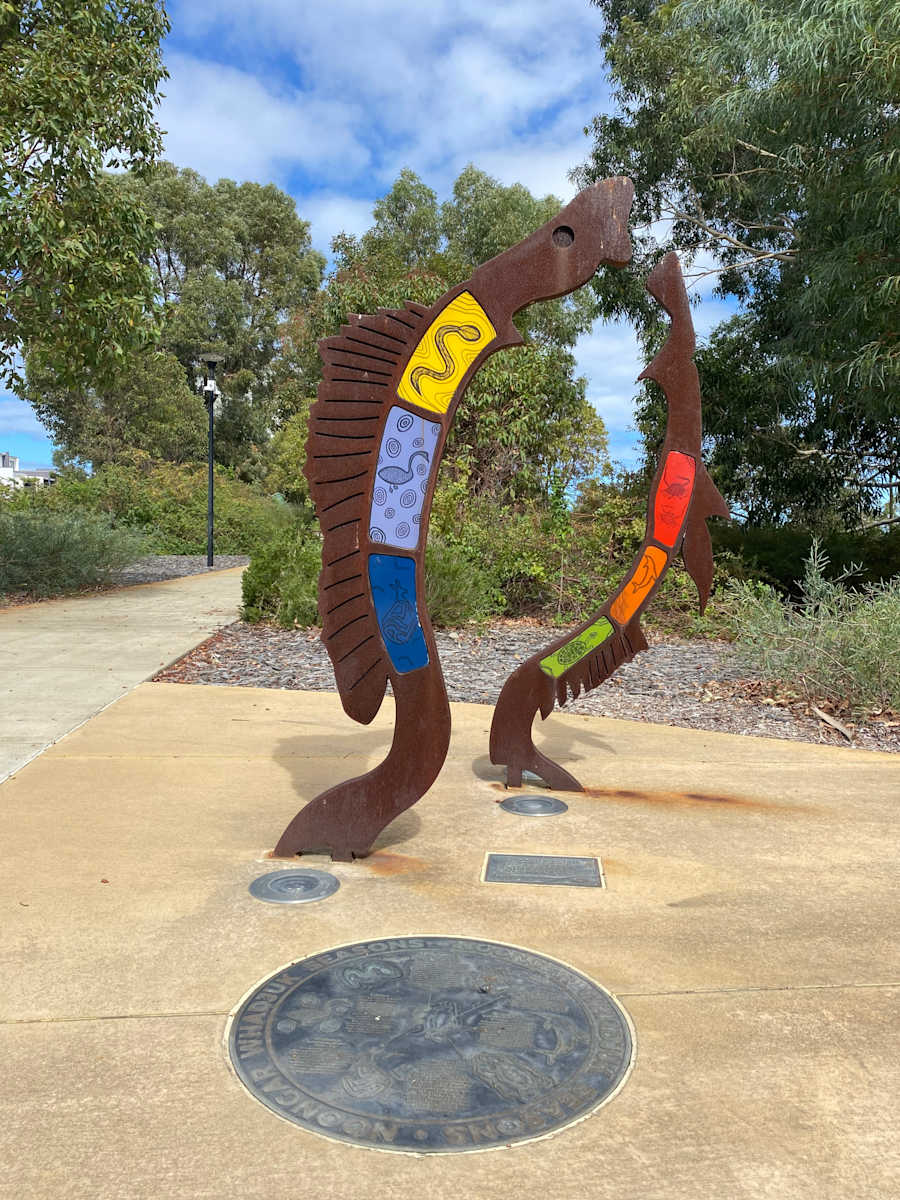 Moorn Barndi (Black Bream) by Kylie Graham and Peter Farmer Junior Peter Farmer Designs Team  Image: Moorn Barndi (Black Bream)