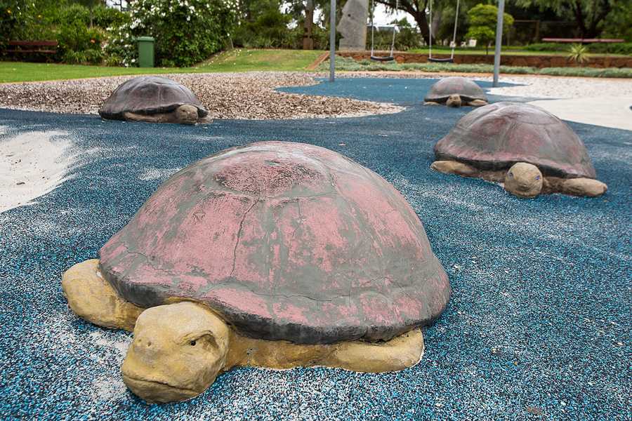 Volcano Park  - Turtles by Steve Tepper 
