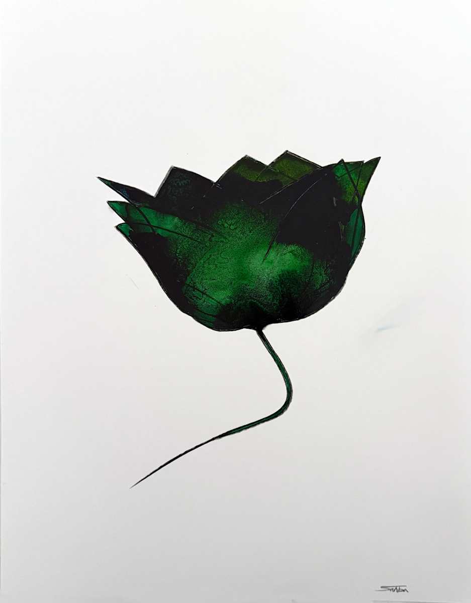 Green Dream by Sahba Shere 
