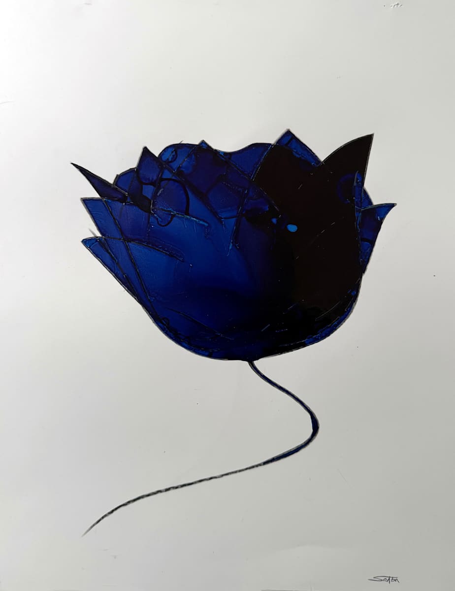 Blue Sapphire by Sahba Shere 