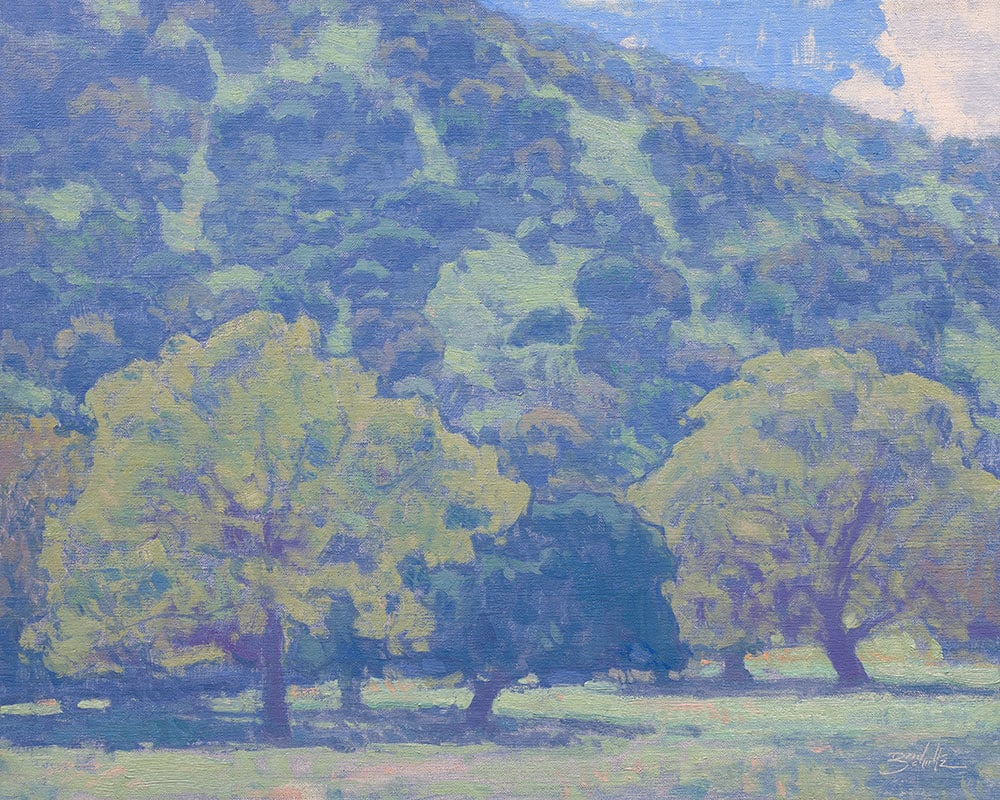 "California Atmosphere" by Dan Schultz 