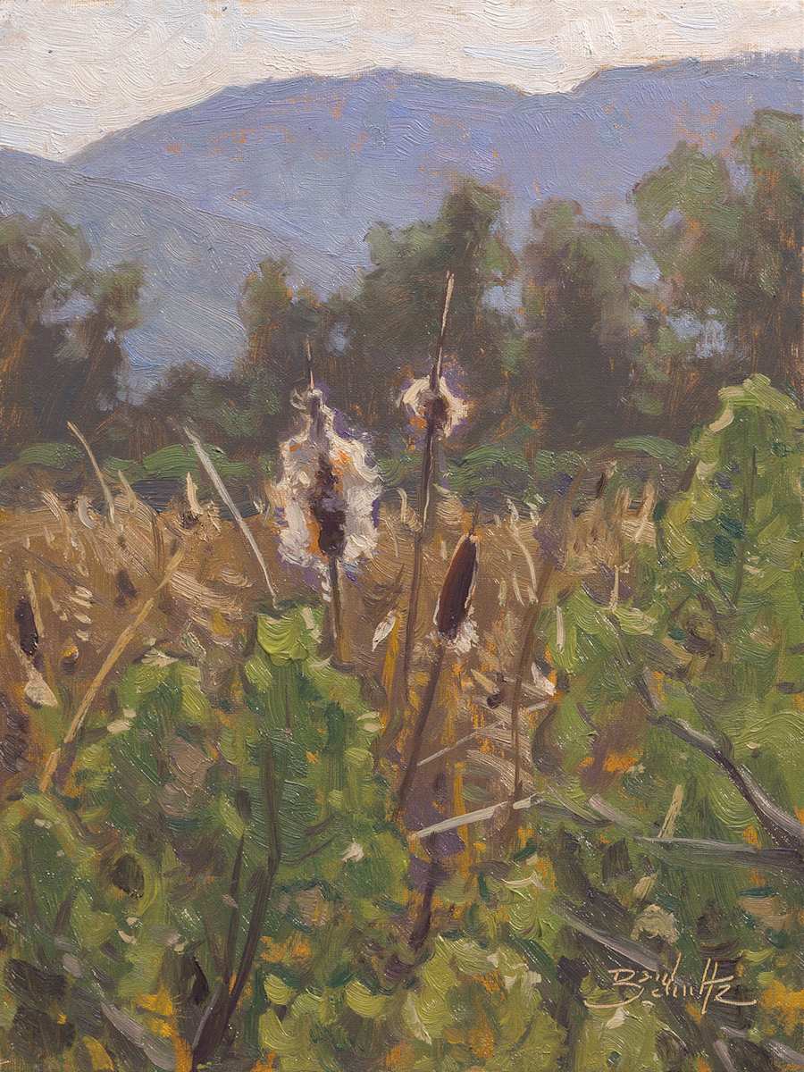 “Cattails” by Dan Schultz  Image: This painting was exhibited in the California Art Club Plein Air Visions Show at Santa Paula Art Museum May 10 - September 7, 2025.