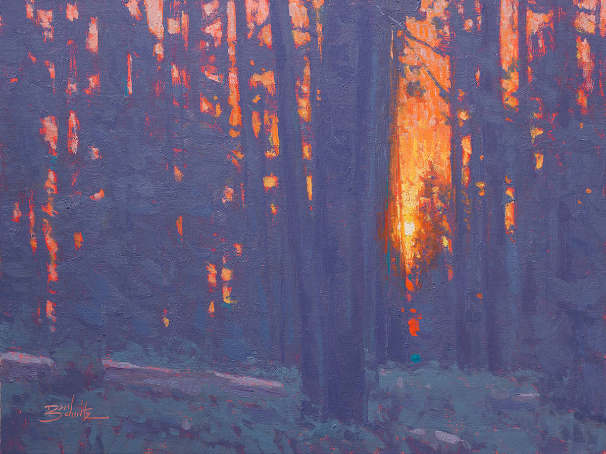 "Deep Forest Sunset" by Dan Schultz, Image 1.