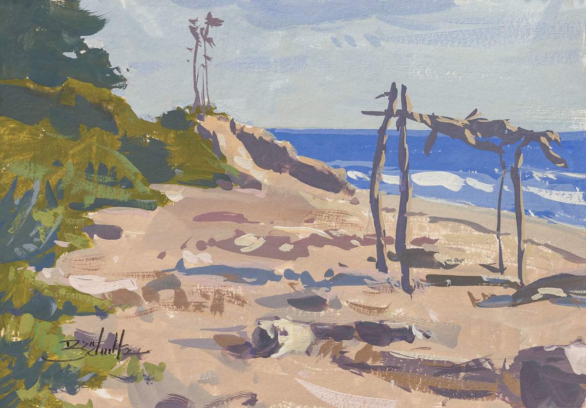 "Driftwood Shelter" by Dan Schultz 