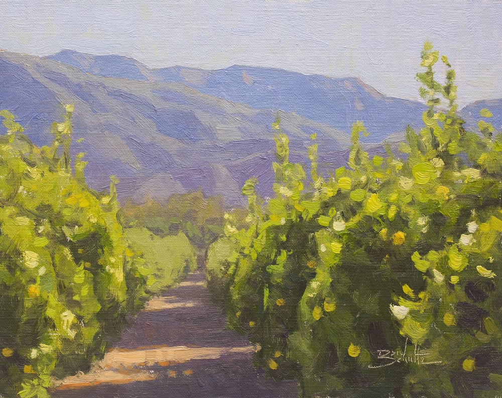 “Ojai Lemon Grove” by Dan Schultz 