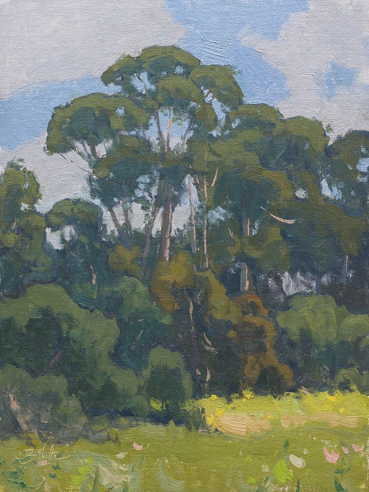 "Eucalyptus Meadow" by Dan Schultz 