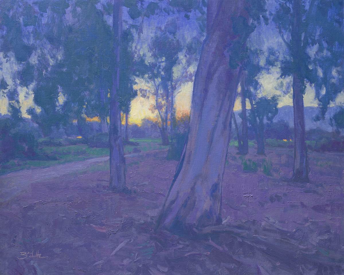 "Eucalyptus Twilight" by Dan Schultz 