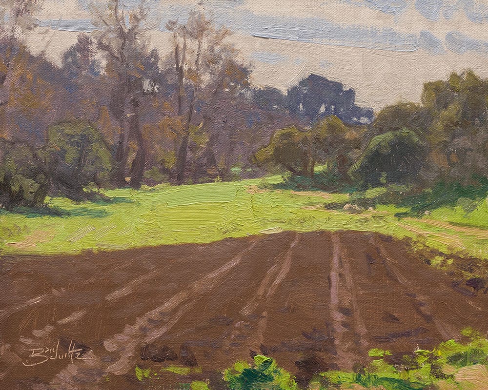 “Sunlight and Soil” by Dan Schultz 