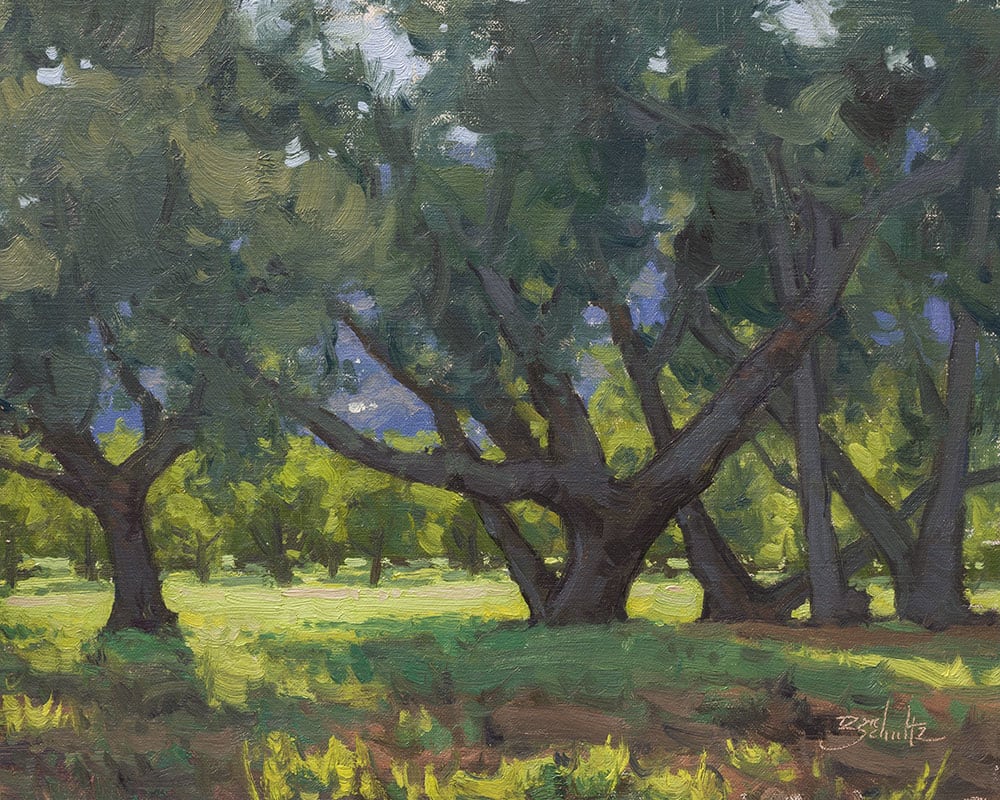 “Light through the Oaks” by Dan Schultz Fine Art 