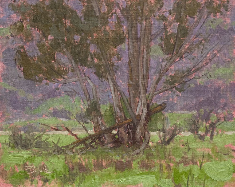 “Quiet Eucalyptus” by Dan Schultz 