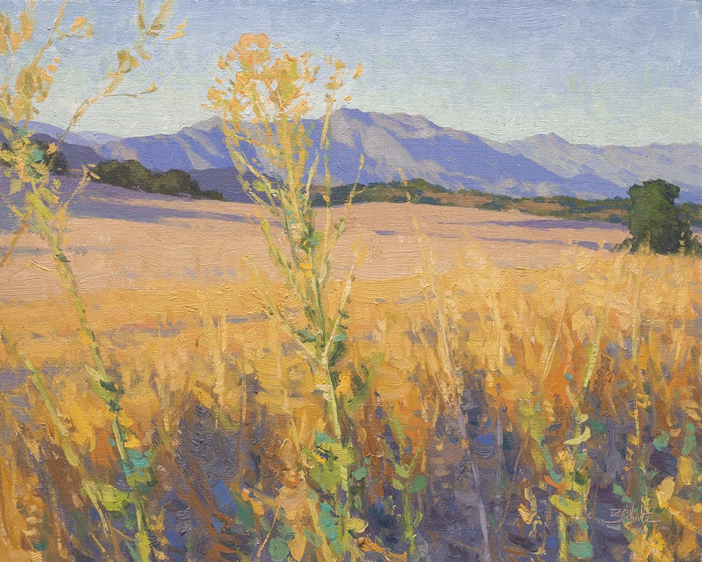 “Golden Fields” by Dan Schultz 