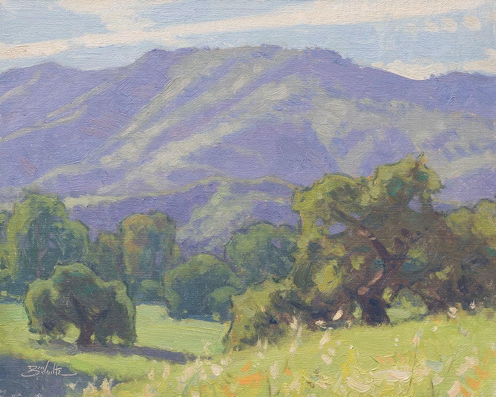 “Springtime Valley” by Dan Schultz Fine Art 