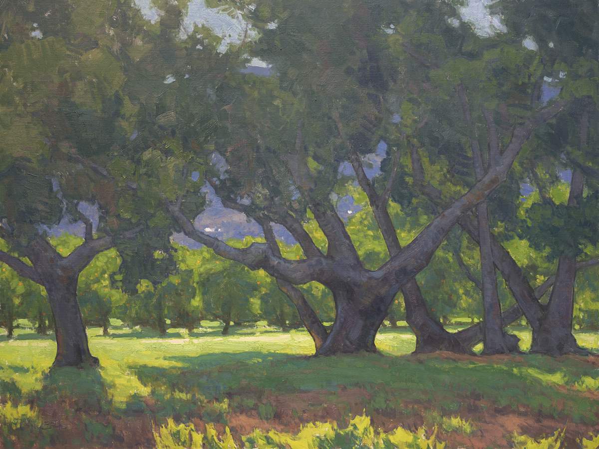 “Light Through the Oaks” by Dan Schultz 