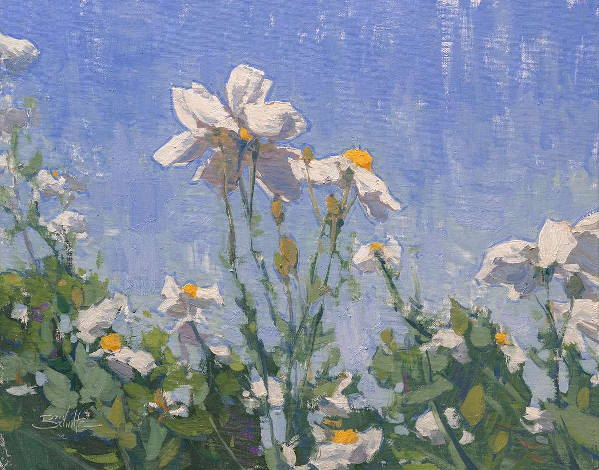 "Matilija Poppies" by Dan Schultz, Image 1.