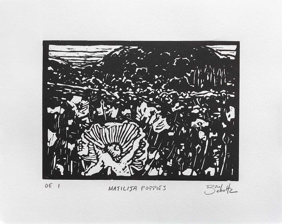 "Matilija Poppies" #1 by Dan Schultz 