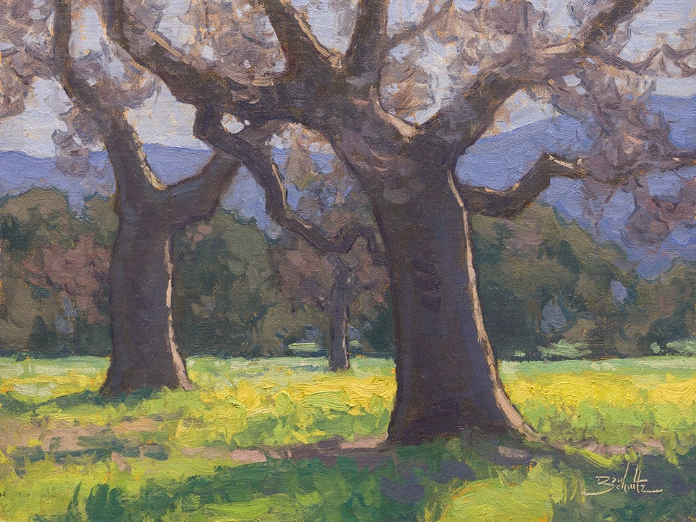 "Oaks in the Sunshine" by Dan Schultz Fine Art 