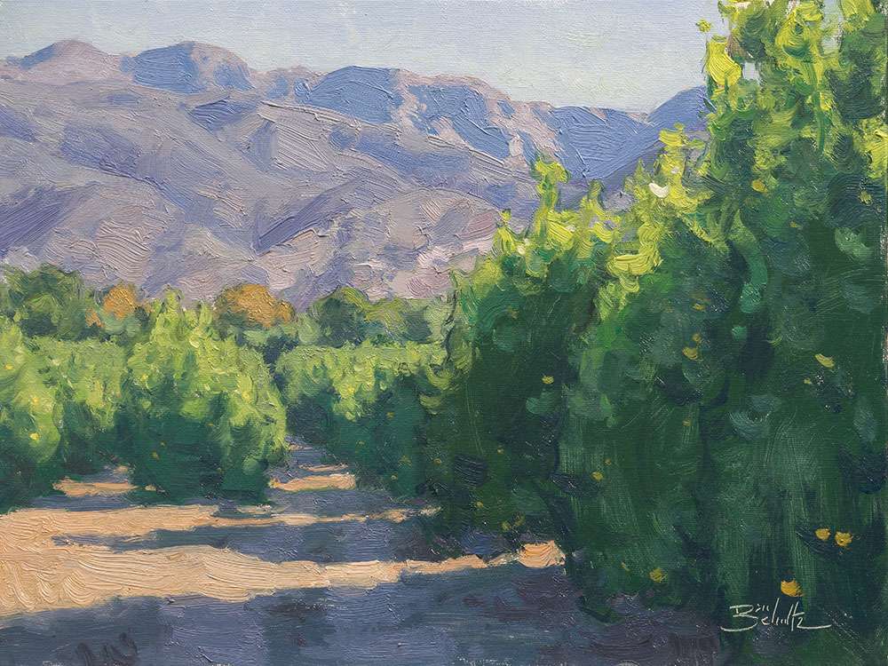 "Ojai Lemon Orchard" by Dan Schultz 