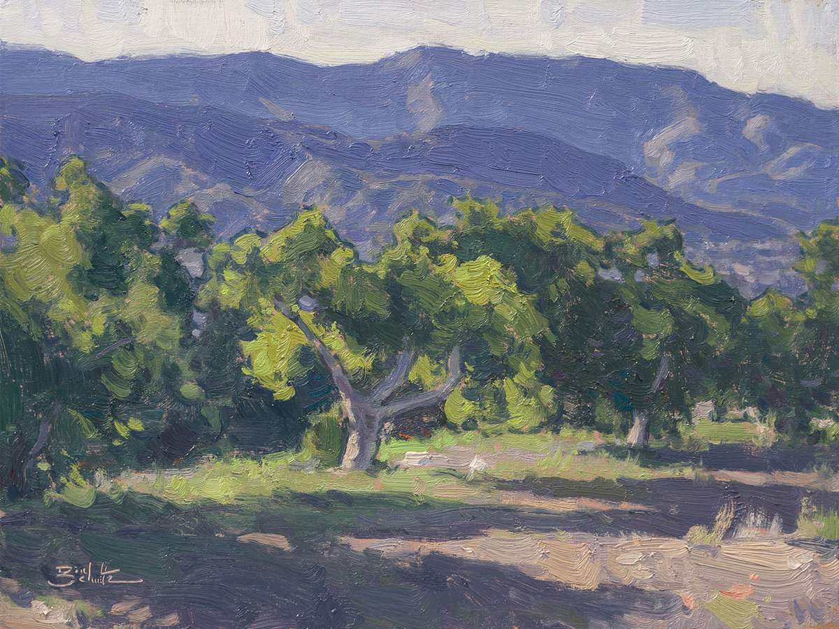 "Ojai Valley Avocados" by Dan Schultz 