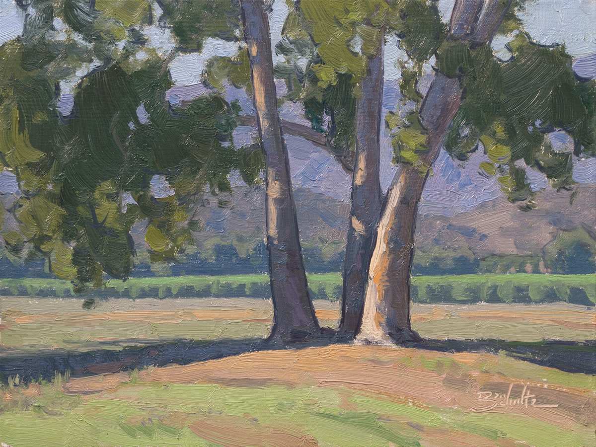 "Ojai Valley Sycamores" by Dan Schultz 