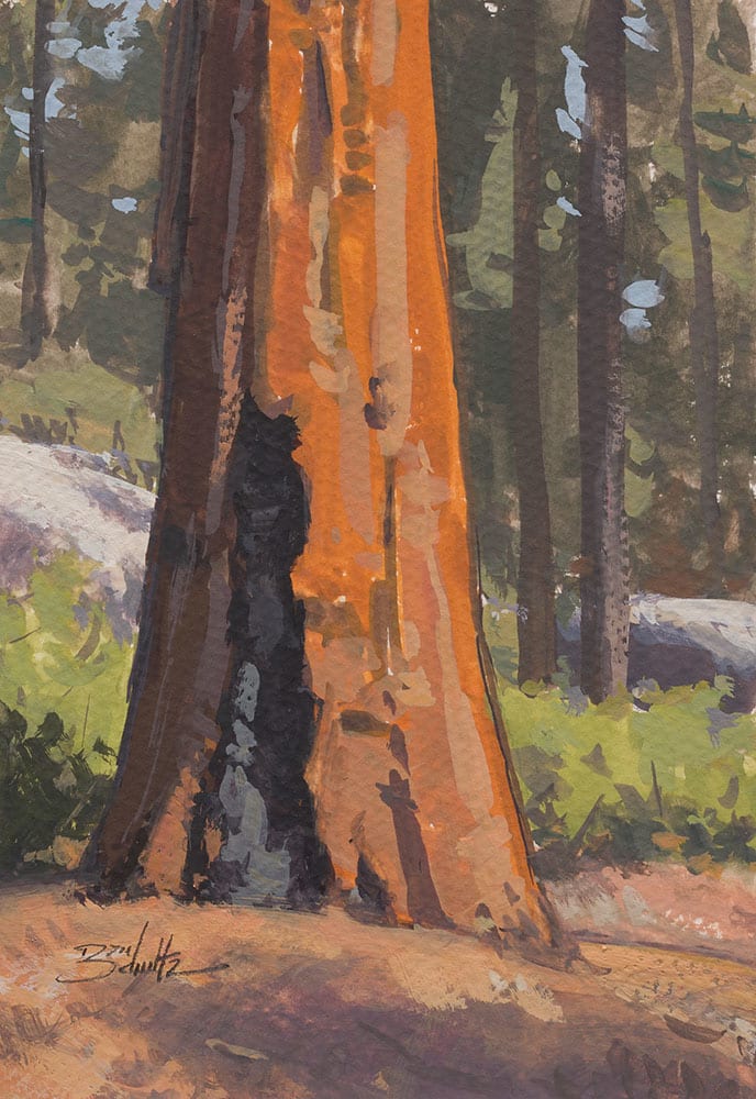 “Giant Sequoia” by Dan Schultz 