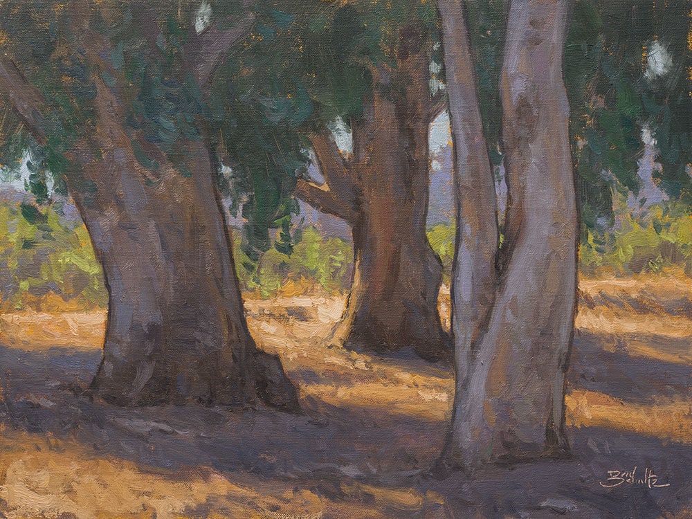 “Shady Grove” by Dan Schultz Fine Art 