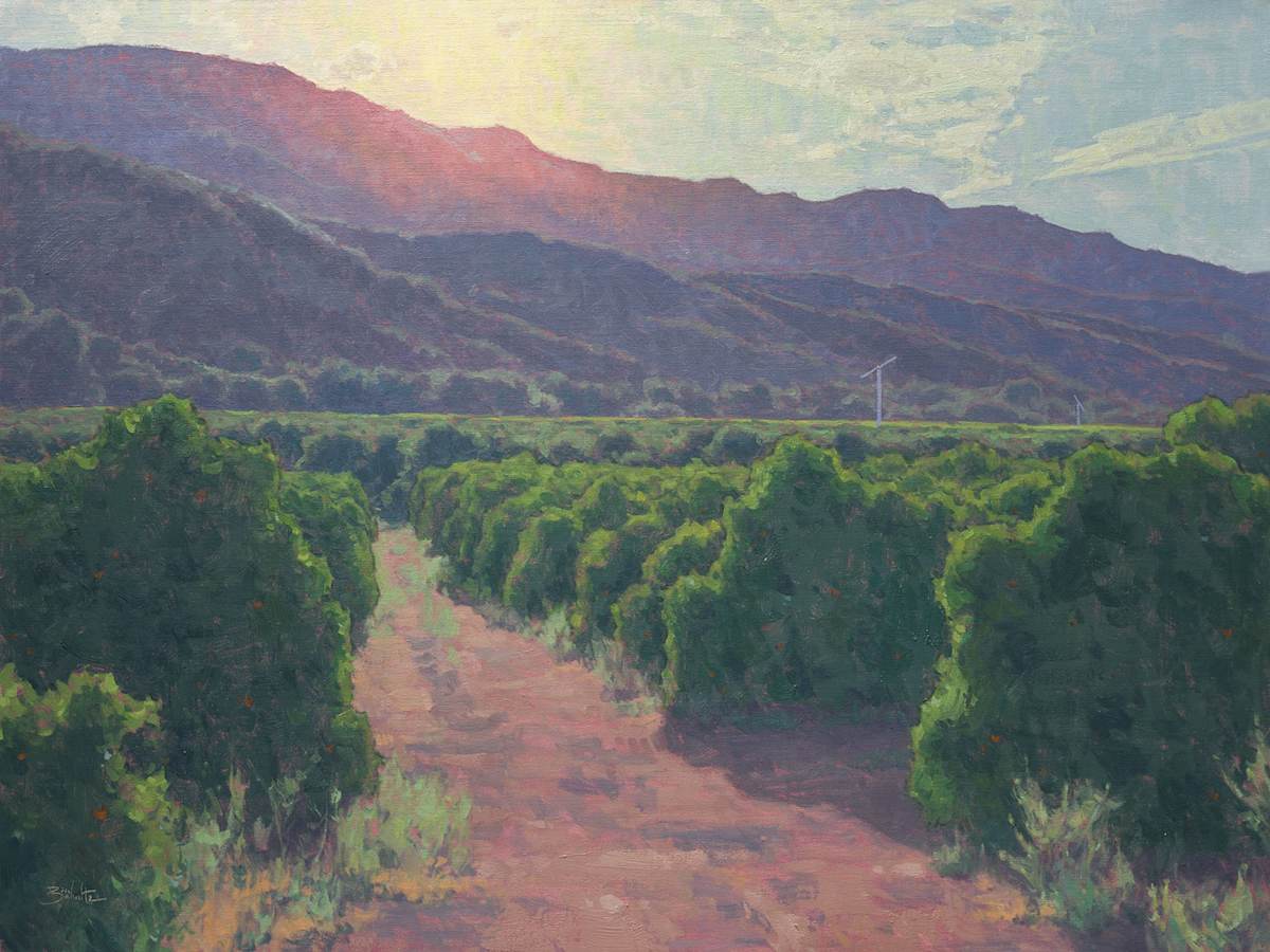 "Sunlit Orchards" by Dan Schultz  Image: This painting will be available for purchase in the Ojai Mystique exhibition at Ojai Valley Museum, April 17 - August 9, 2026