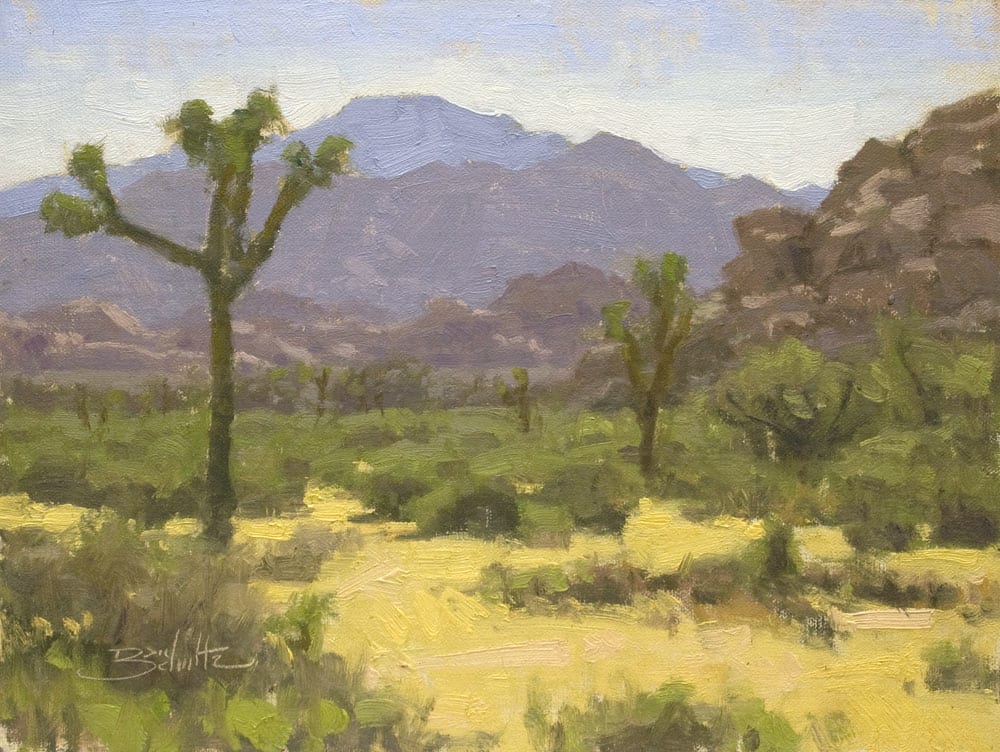 “Joshua Tree National Park” by Dan Schultz 