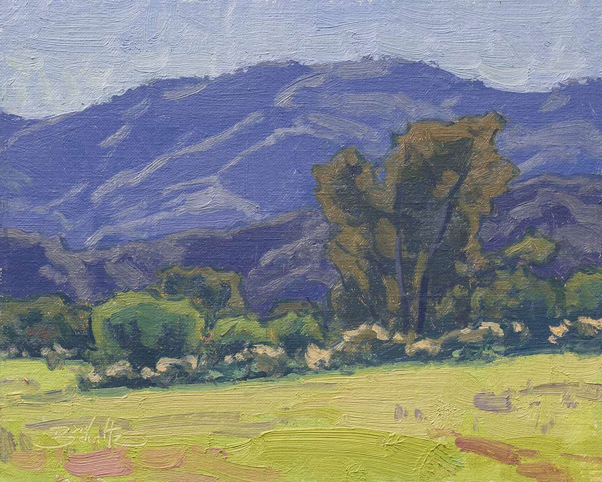 "Verdant Valley" by Dan Schultz, Image 1.