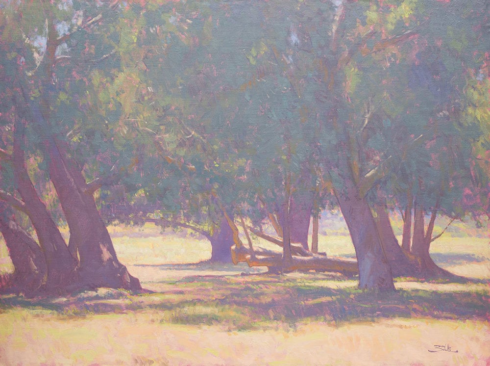 "Beneath the Trees" by Dan Schultz 