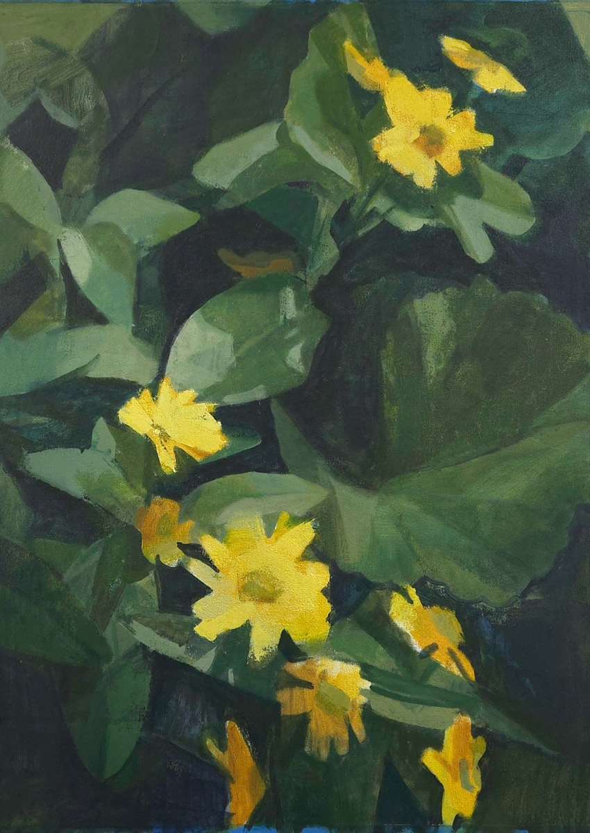 Yellow Daisies by Amy Scherer, Image 1.