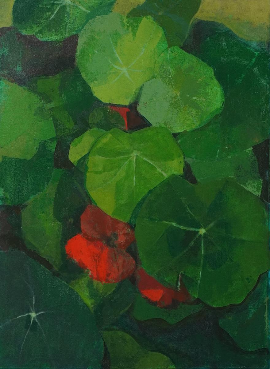 Nastursium by Amy Scherer, Image 5.