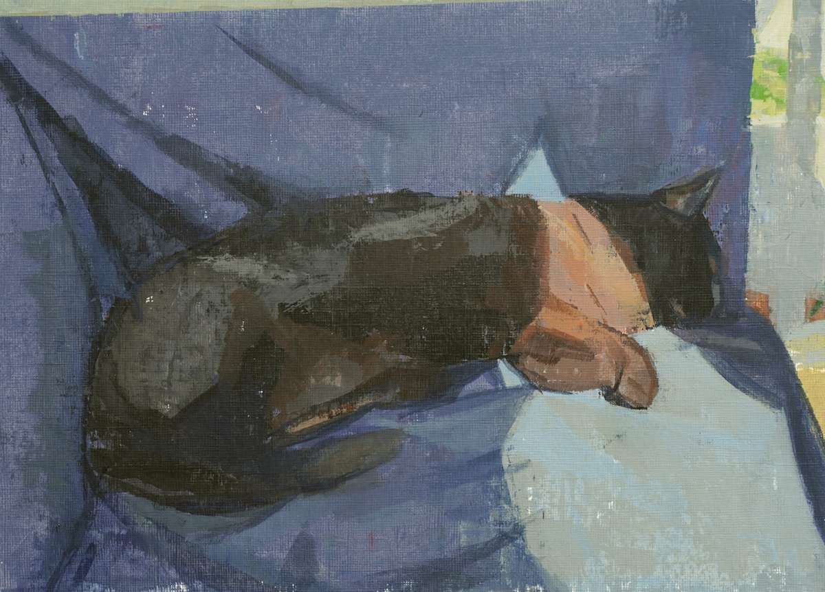 Cat in the Sun by Amy Scherer, Image 2.