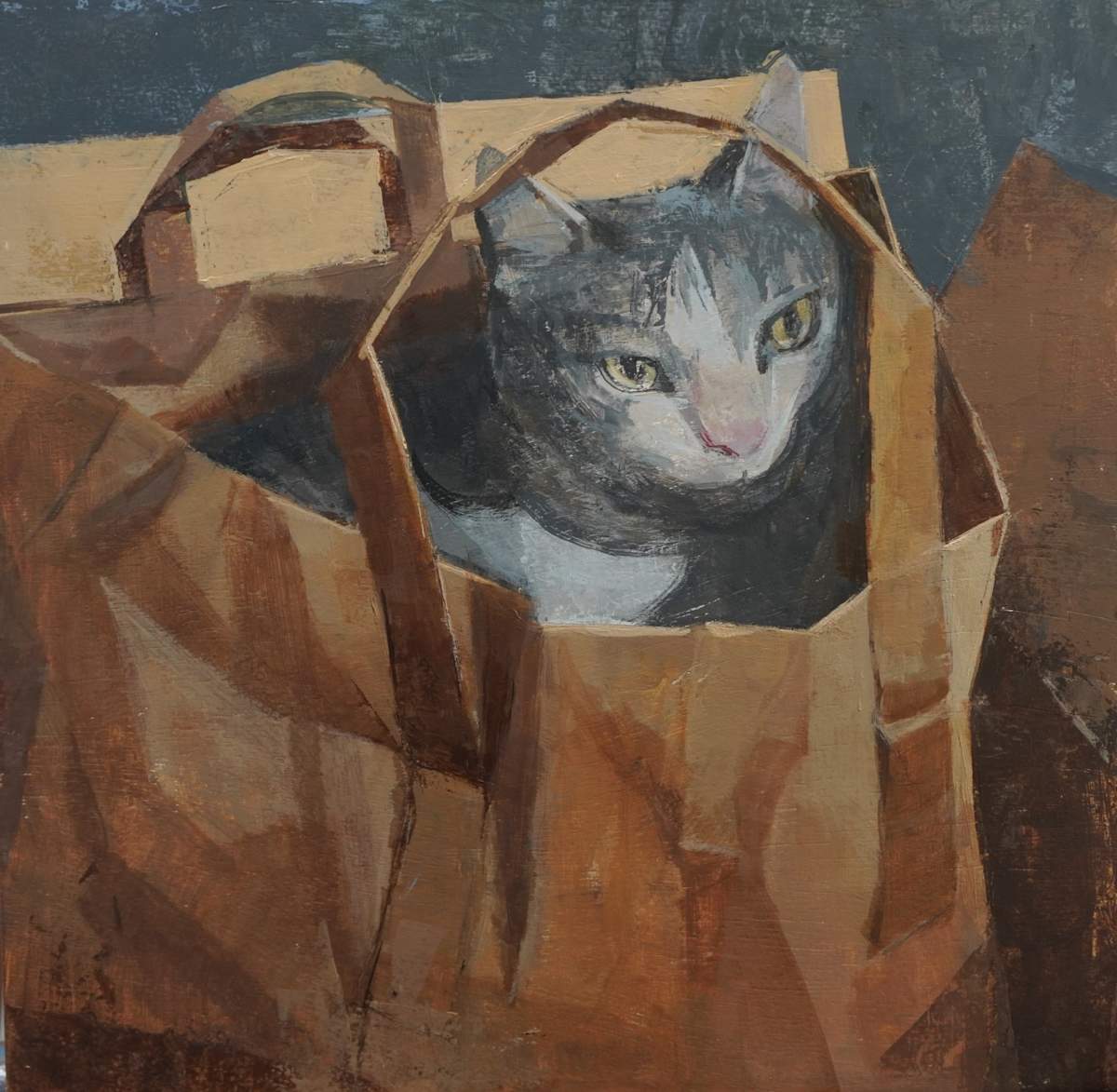 Cat in a bag (and  box) by Amy Scherer 