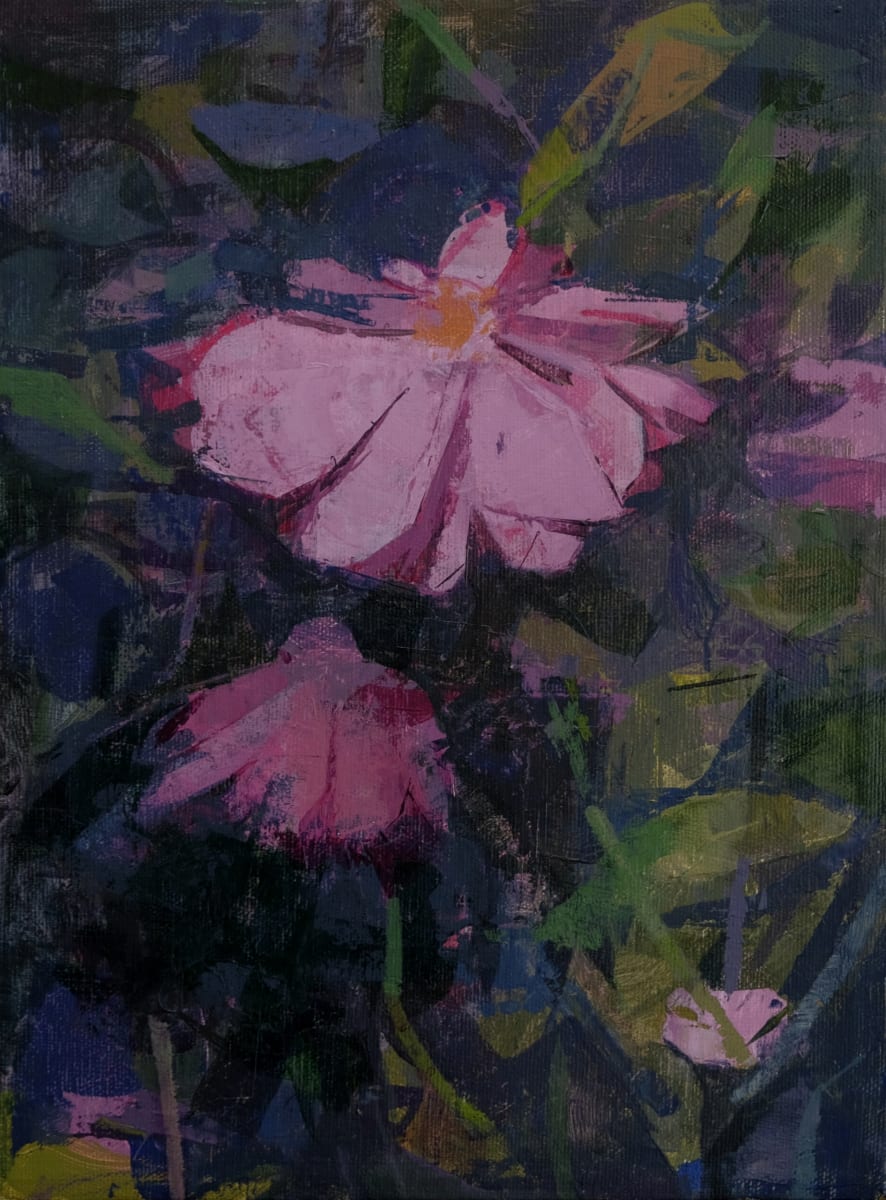 Two (more) Pink Flowers by amy scherer 